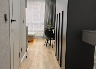 Аренда квартиры студии, 23 м2, Краснодар, Обрывная улица, 132/1к1, микрорайон Черемушки