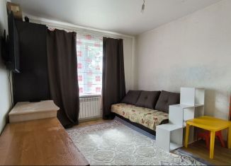 Сдаю в аренду 1-ком. квартиру, 30 м2, Шелехов, 10-й квартал, 7