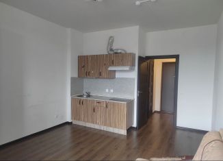 Продажа квартиры студии, 24 м2, Санкт-Петербург, Красносельский район, проспект Ветеранов, 171к5