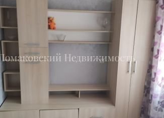 Сдаю в аренду 1-комнатную квартиру, 29 м2, Новосибирск, улица Дмитрия Шмонина, 6, метро Площадь Маркса