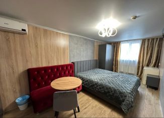 Сдам в аренду квартиру студию, 20 м2, Москва, Автозаводская улица, 23с16, Даниловский район