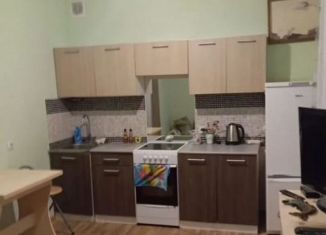 Продаю квартиру студию, 23.8 м2, Новосибирская область, улица Романтиков, 8/1