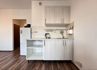 Сдаю квартиру студию, 30 м2, Санкт-Петербург, Московский проспект, 73к5, Адмиралтейский район