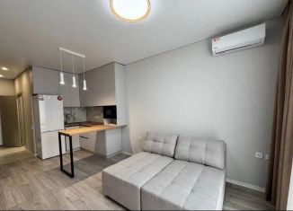 Сдам квартиру студию, 28 м2, Краснодар, улица Евгении Жигуленко, 3к1, ЖК Территория счастья