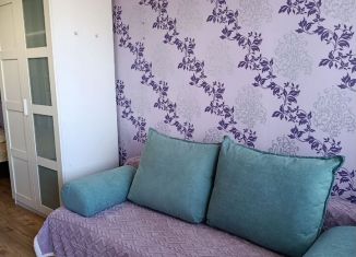 Сдается 1-ком. квартира, 45 м2, Краснодарский край, Новонабережная улица, 1