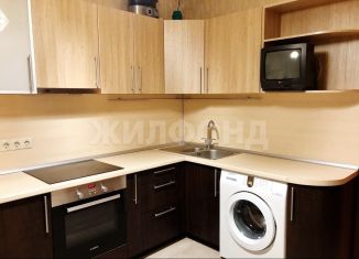 Сдам однокомнатную квартиру, 40 м2, Новосибирск, улица Петухова, 14/8, метро Площадь Маркса