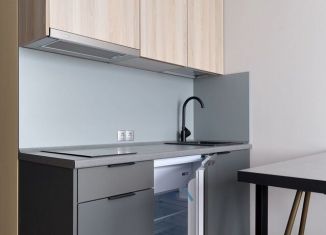 Продам квартиру студию, 22.4 м2, Санкт-Петербург, дорога на Турухтанные Острова, 5к1, Кировский район