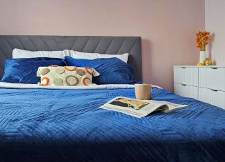 Сдаю 1-ком. квартиру, 35 м2, Санкт-Петербург, улица Маршала Казакова, 21к3, Красносельский район