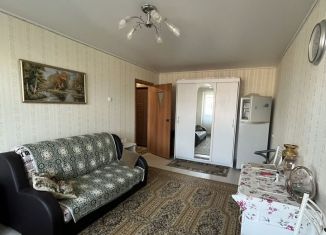 Сдам в аренду 1-комнатную квартиру, 31 м2, Курганская область, улица Перова, 22