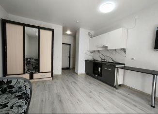 Продается квартира студия, 26.7 м2, Пермь, Бисерский переулок, 5