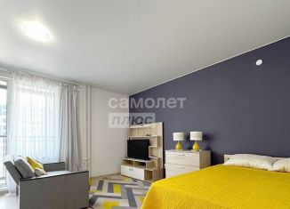 Квартира на продажу студия, 40 м2, Санкт-Петербург, бульвар Александра Грина, 3, Василеостровский район