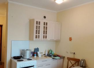 Сдаю в аренду квартиру студию, 19 м2, Новосибирск, улица Твардовского, 22/6