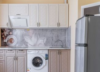 Продажа 1-комнатной квартиры, 30.8 м2, Санкт-Петербург, Муринская дорога, 8к4, Красногвардейский район