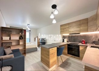 Продажа квартиры студии, 36.1 м2, Санкт-Петербург, Дальневосточный проспект, 19к1, Дальневосточный проспект