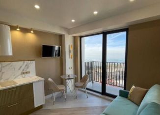 Сдам в аренду квартиру студию, 18 м2, Сочи, Курортный проспект, 96Г, микрорайон Приморье