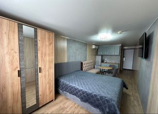 Сдаю в аренду квартиру студию, 16 м2, Москва, Автозаводская улица, 23с16, Даниловский район