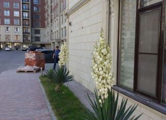 Продается двухкомнатная квартира, 73 м2, Махачкала, Газпромная улица, 13, ЖК Новая Пальмира