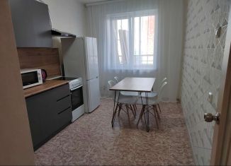 Сдаю в аренду 2-ком. квартиру, 63 м2, Томск, Береговая улица, 7