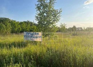 Продажа участка, 25.3 сот., село Новоживотинное, Дорожная улица, 14