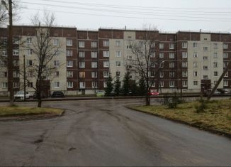 Продам двухкомнатную квартиру, 60 м2, Ленинградская область, Центральная улица, 13