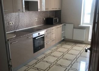 Сдается в аренду 1-ком. квартира, 40.4 м2, Санкт-Петербург, Русановская улица, 19к4, ЖК Ласточкино Гнездо