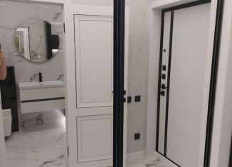 Сдача в аренду квартиры студии, 30 м2, Ростов-на-Дону, улица Мечникова, 41/53