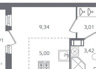 Продам квартиру студию, 22.7 м2, Санкт-Петербург, метро Выборгская