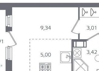 Продам квартиру студию, 22.7 м2, Санкт-Петербург, метро Выборгская