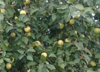 Участок на продажу, 7 сот., СНТ Маяк, СНТ Маяк, 982