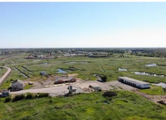 Продажа производства, 70000 м2, Новосибирская область