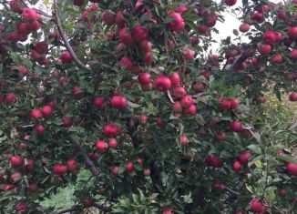 Продажа участка, 43 сот., село Зыбины, Набережная улица