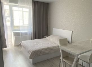 Сдам в аренду квартиру студию, 27 м2, Саранск, улица Короленко, 1