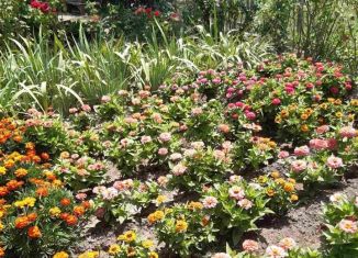 Продам участок, 13.1 сот., село Укромное, Октябрьская улица