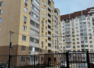 Аренда 1-комнатной квартиры, 39.5 м2, Саратов, улица имени Александра Кривохижина, 2, ЖК Авиатор