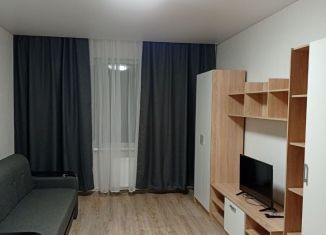 Сдается 1-ком. квартира, 40 м2, посёлок Отрадное, Весенняя улица, 2