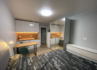 Сдаю квартиру студию, 22 м2, Мурино, Екатерининская улица, ЖК Три кита