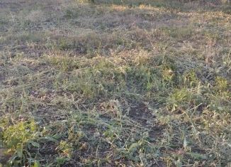 Продам земельный участок, 8 сот., СНТ Сударушка