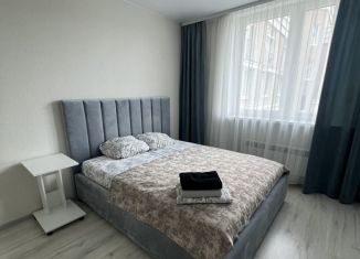 1-ком. квартира в аренду, 45 м2, Калининград, улица Аксакова, 127А