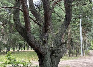 Продается участок, 7 сот., Ладушкин, Молодёжная улица