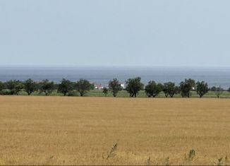 Продам земельный участок, 100 сот., Окунёвское сельское поселение