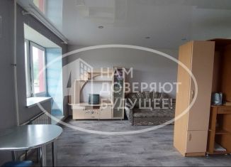 Квартира на продажу студия, 24.4 м2, Чернушка, Парковая улица, 18