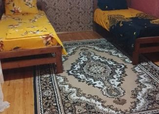 Сдается коттедж, 25 м2, поселок при станции Инчхе