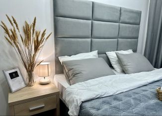 Продаю двухкомнатную квартиру, 50 м2, Сочи, Курортный проспект, 84, микрорайон Яна Фабрициуса