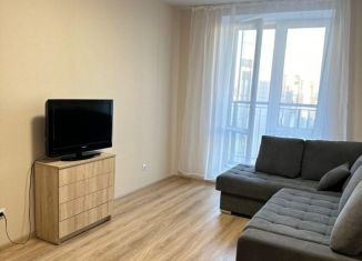 Сдается в аренду 1-ком. квартира, 35 м2, деревня Куюки, Тихая улица, 7