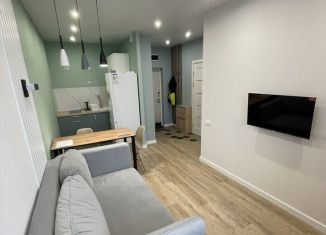 Сдача в аренду однокомнатной квартиры, 29.2 м2, деревня Столбово, проспект Куприна, 38к1