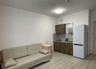 Сдаю в аренду квартиру студию, 26 м2, Мурино, Ручьёвский проспект, 9, ЖК Гринландия-2