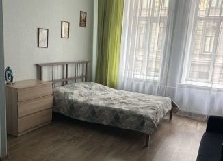 Сдаю квартиру студию, 25 м2, Санкт-Петербург, Лахтинская улица, 25, Петроградский район