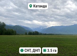 Продаю участок, 350 сот., село Катанда