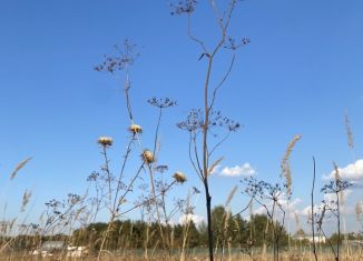 Продается участок, 6 сот., село Большие Кургузи, Богатая улица, 106