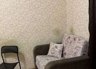 Сдам квартиру студию, 25 м2, деревня Новое Девяткино, Главная улица, 58